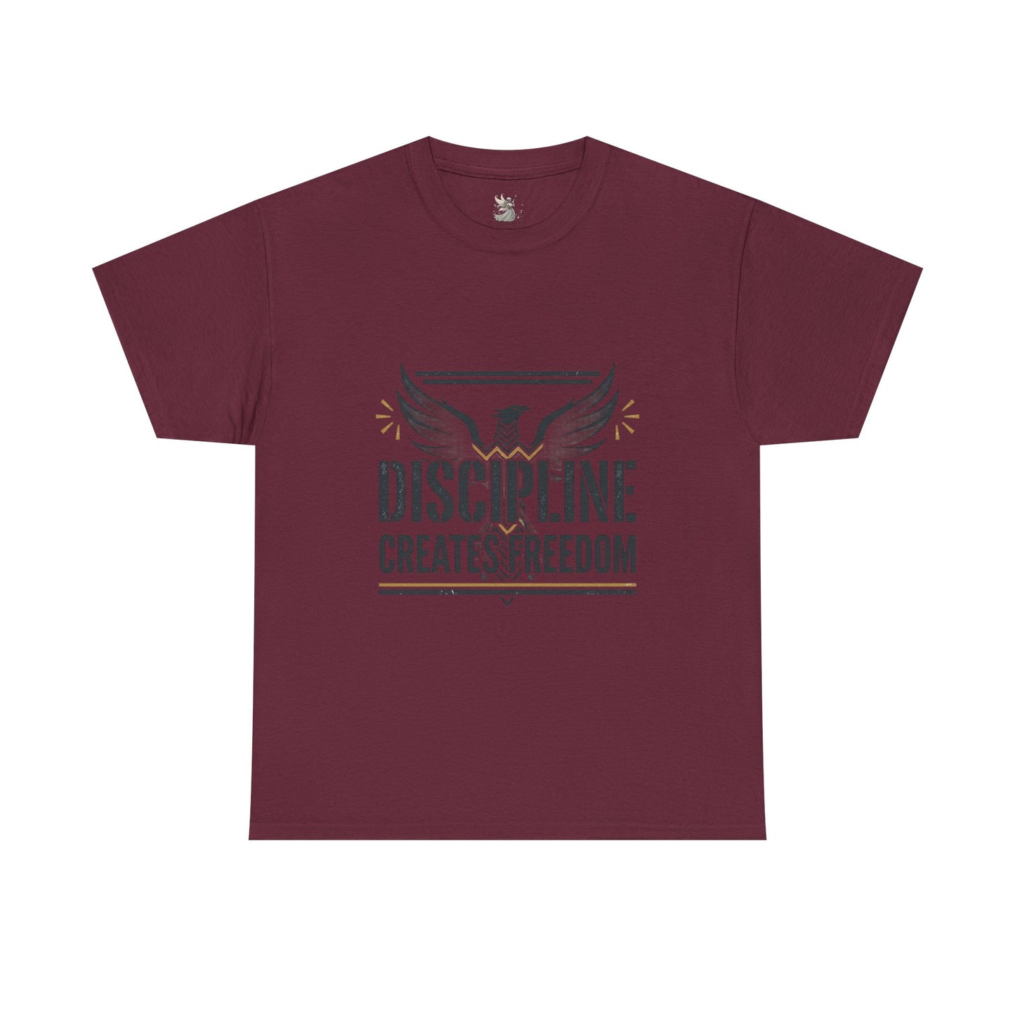 Discipline Creates Freedom T-Shirt — Motivational Eagle Fitness Tee