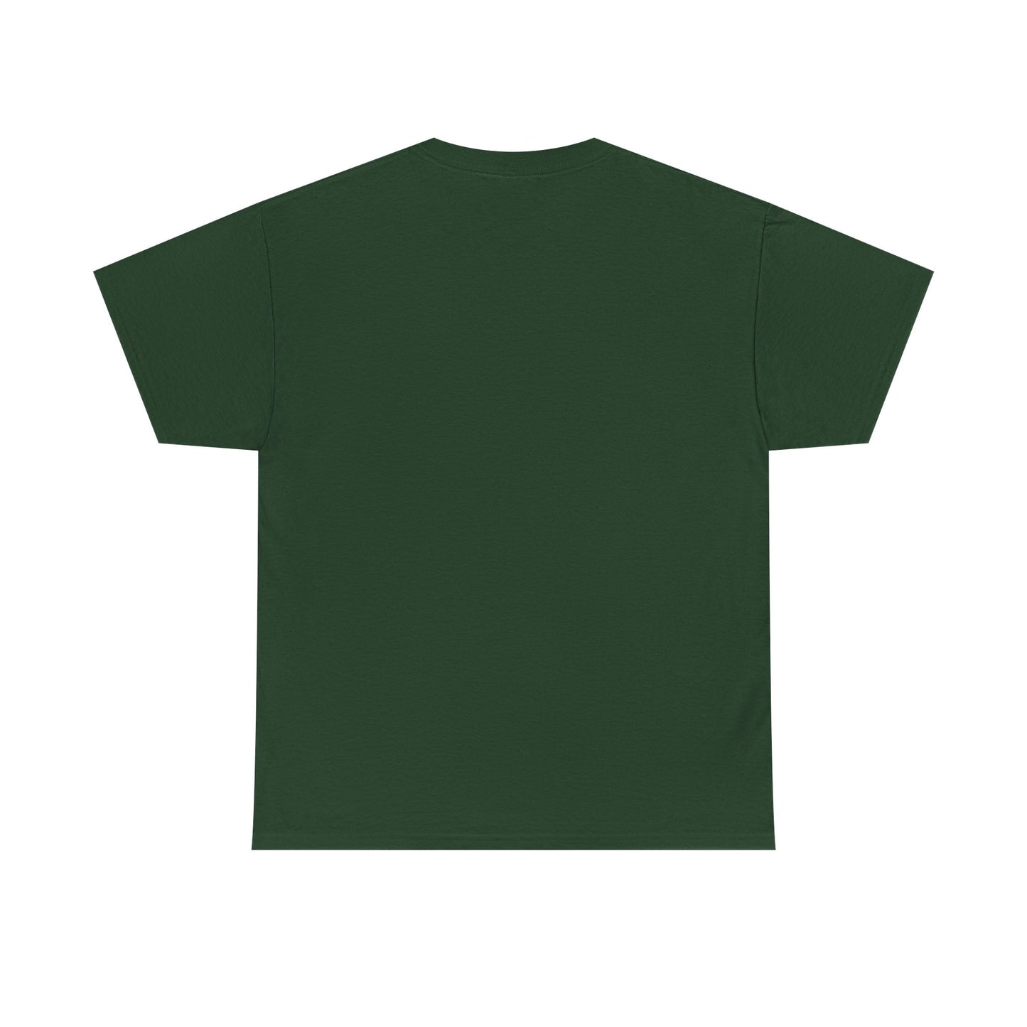 Discipline Creates Freedom T-Shirt — Motivational Eagle Fitness Tee