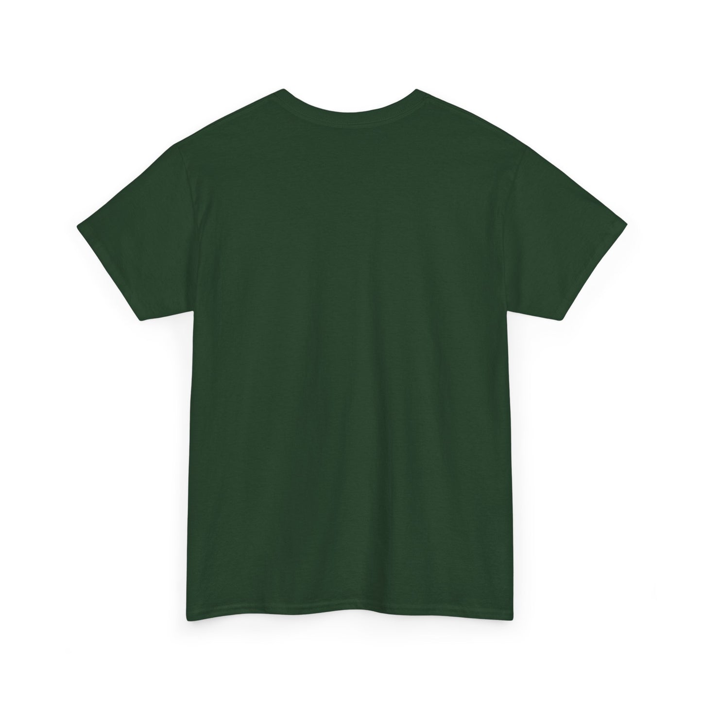 Discipline Creates Freedom T-Shirt — Motivational Eagle Fitness Tee