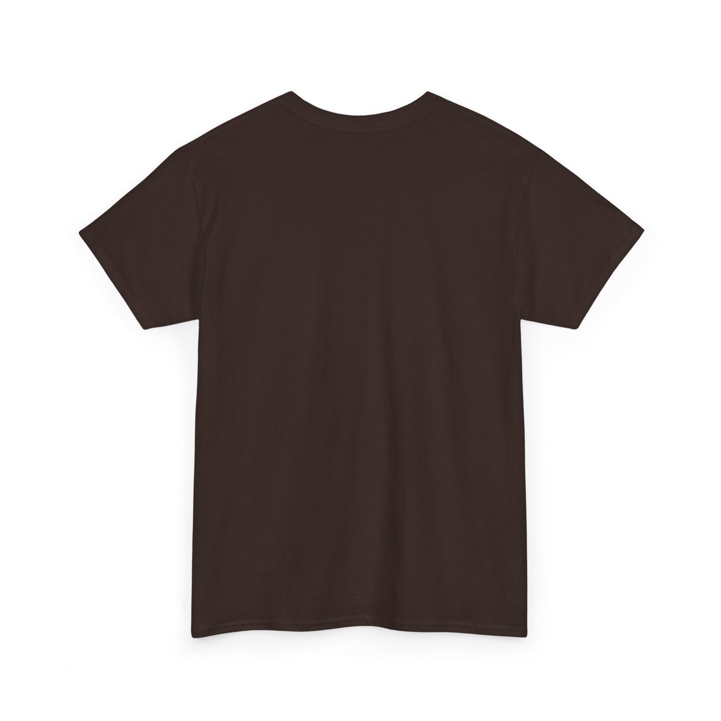 Discipline Creates Freedom T-Shirt — Motivational Eagle Fitness Tee