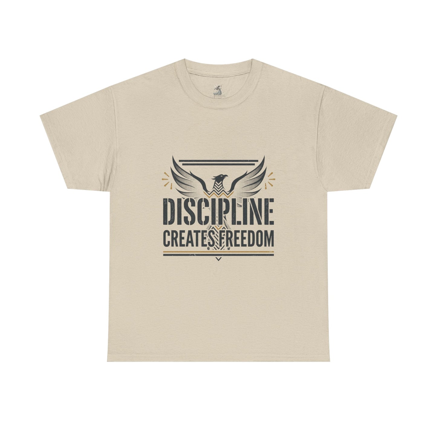Discipline Creates Freedom T-Shirt — Motivational Eagle Fitness Tee