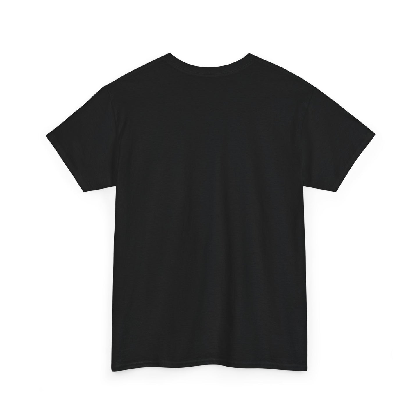 Discipline Creates Freedom T-Shirt — Motivational Eagle Fitness Tee